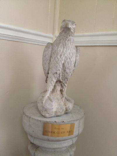 Our Mascot- the Falcon